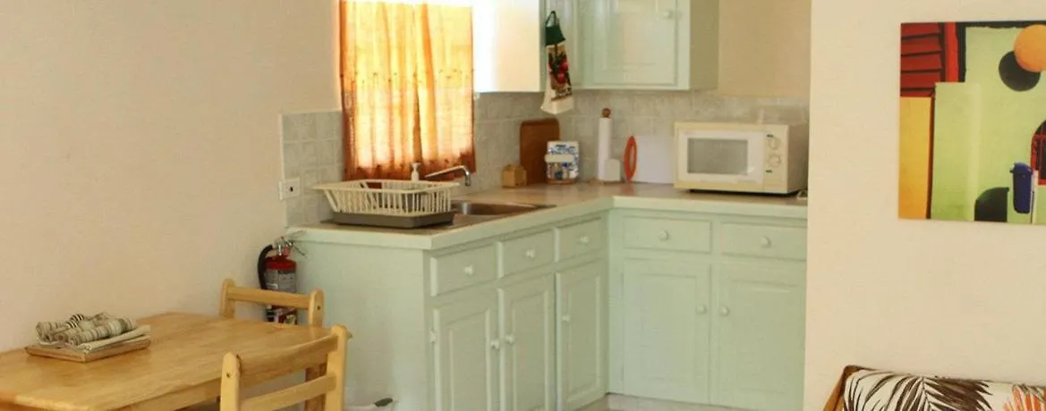 Valersk Vacation Apartments 基督教堂市